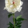 Natural Touch Large Cream White Peony Flower