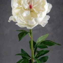Natural Touch Large Cream White Peony Flower