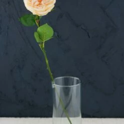 12 Long Stem Peach Roses