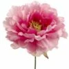Pink Silk Peony (6" Wide) Flower Heads (Bouquet Of 24)