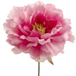 Pink Silk Peony (6" Wide) Flower Heads (Bouquet Of 24)