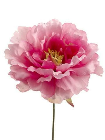 Pink Silk Peony (6" Wide) Flower Heads (Bouquet Of 24) 1 Pink Silk Peony (6" Wide) Flower Heads (Bouquet Of 24)