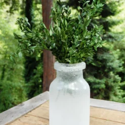 Preserved Boxwood Bundle In Natural Green 5oz.