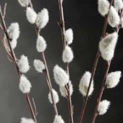 12 Artificial Pussy Willow Branches 31 In. 5 12 Artificial Pussy Willow Branches 31 In. -US Gift Sales 2024 pussy willow branches 31 in artificial pack of 12 3