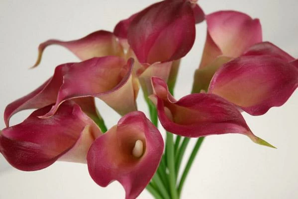 Natural Touch Dark Fuchsia Calla Lily Bouquet 14" 2 Natural Touch Dark Fuchsia Calla Lily Bouquet 14" - Image 2