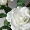Silk Gardenia Stem White 31"