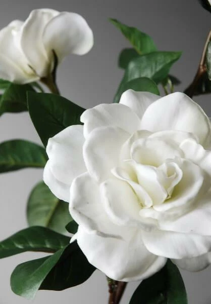 Silk Gardenia Stem White 31" -US Gift Sales 2024 silk gardenias white 3