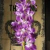Silk Orchid Lavender 28in