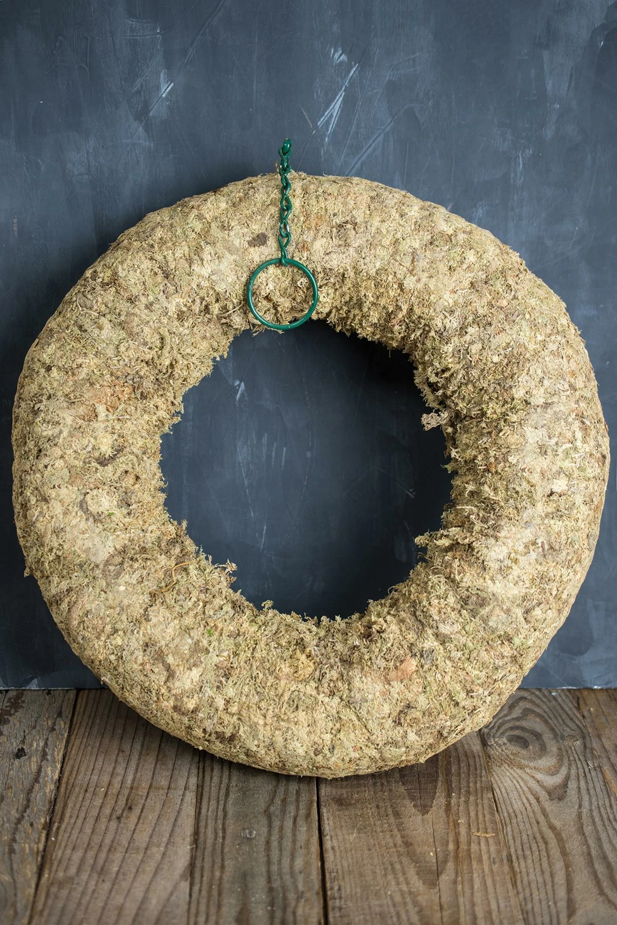 Sphagnum Moss Living Wreath 16 Inch 1 Sphagnum Moss Living Wreath 16 Inch