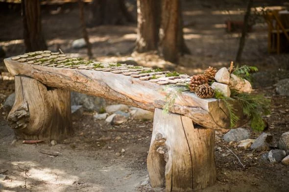 Natural Birch Rounds 3-5in (Set Of 8) 3 Natural Birch Rounds 3-5in (Set Of 8) - Image 3