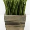 Wood Planter Box Grass Display 7in