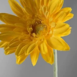 24 Royal Yellow Gerbera Daisy Sprays